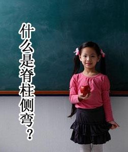 3-140306152Ha41.jpg 3-140306152Ha41.jpg